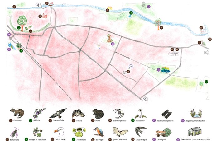 Karte zum Biodiversitätsstadtplan für Greifswald