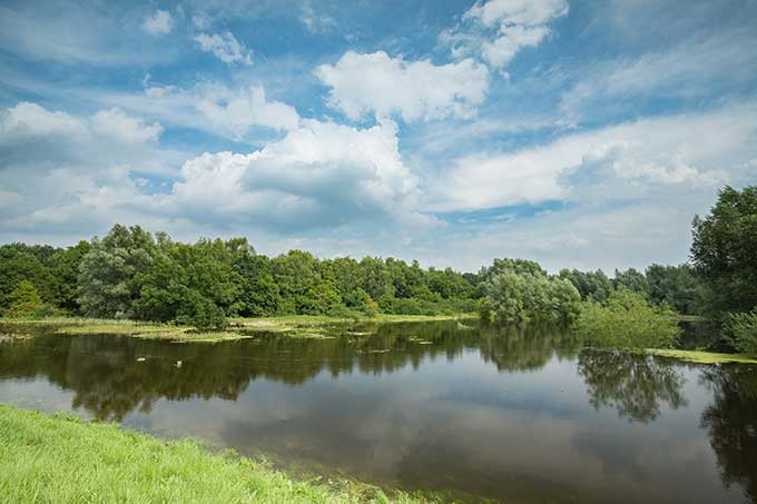 Auwald bei Barnstedt an der Aller bei Hochwasser - Foto: NABU/Klemens Karkow