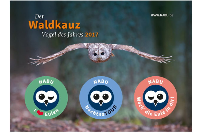 Waldkauz-Postkarte mit Aufklebern - NABU