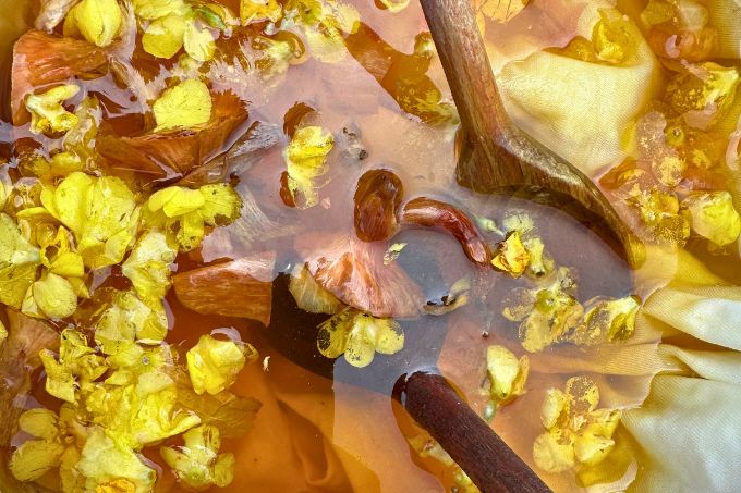 Farbsud mit gelben Zwiebelschalen und Königskerzenblüten 