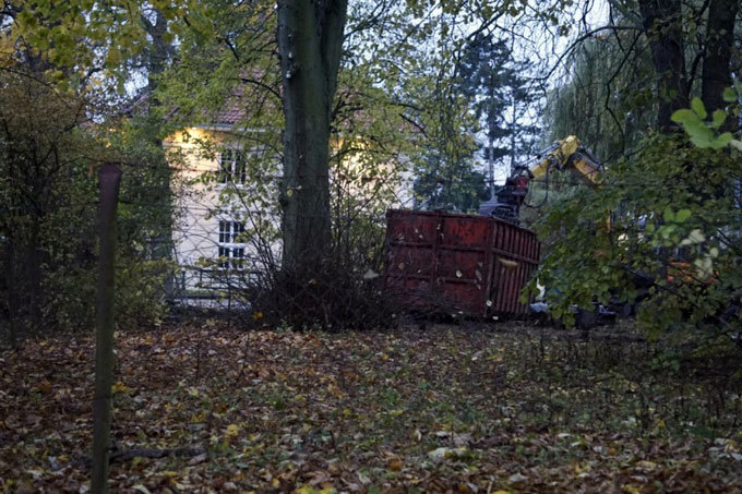Fehlende Baumschutzmaßnahmen beim Abriss des Stralsunder Pionierhauses - Foto: NABU Stralsund