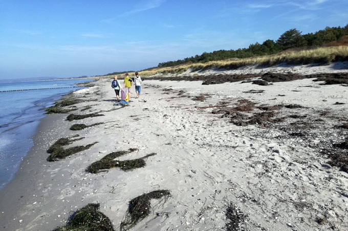 Strandexkursion an der Ostsee - Foto: Leonie Nikrandt