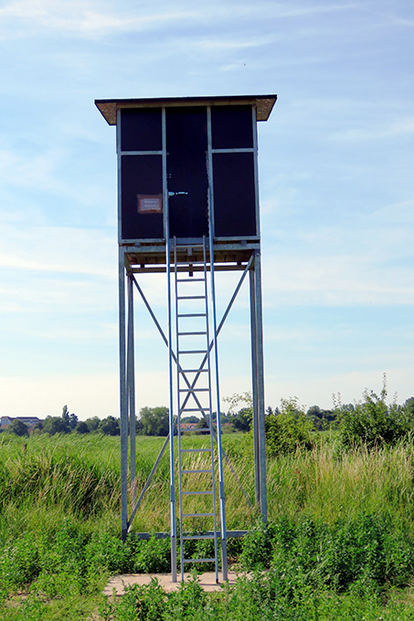 Vogelbeobachtungsturm am Ryck - Foto: Wilfried Starke