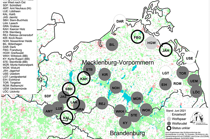 Wolfsvorkommen in Mecklenburg-Vorpommern - Quelle: Umweltbundesamt/Wolfsmonitoring