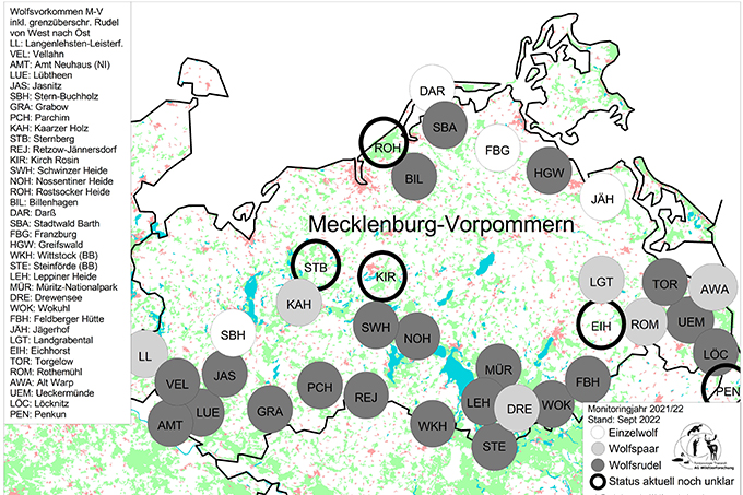 Wolfsvorkommen in Mecklenburg-Vorpommern 2021/2022 - Quelle: Umweltbundesamt/Wolfsmonitoring