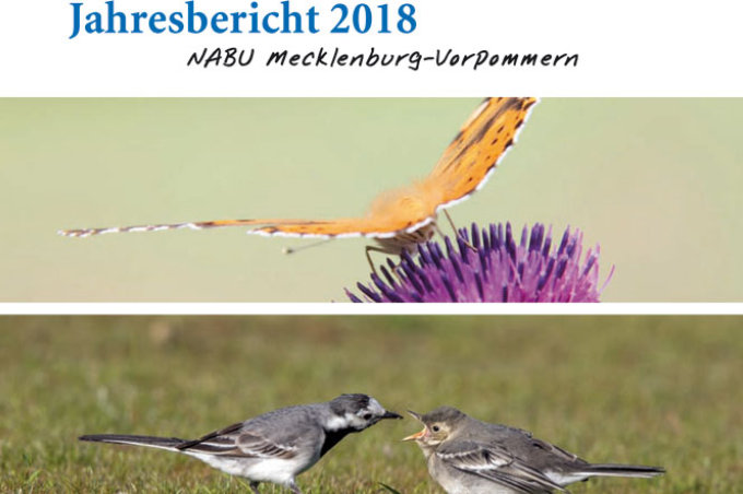 Jahresbericht 2018 des NABU Mecklenburg-Vorpommern