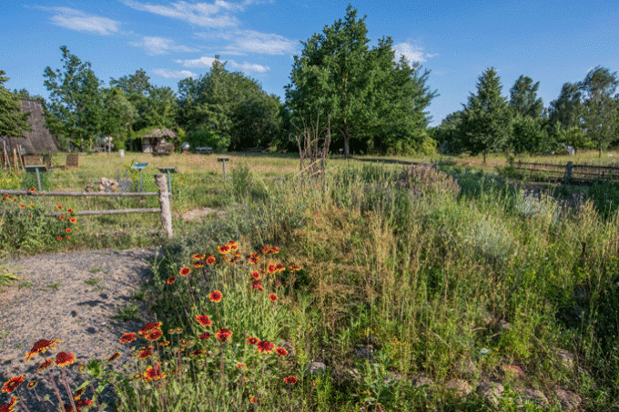 Naturgarten in der Blumberger Mühle - Foto: Sebastian Hennigs