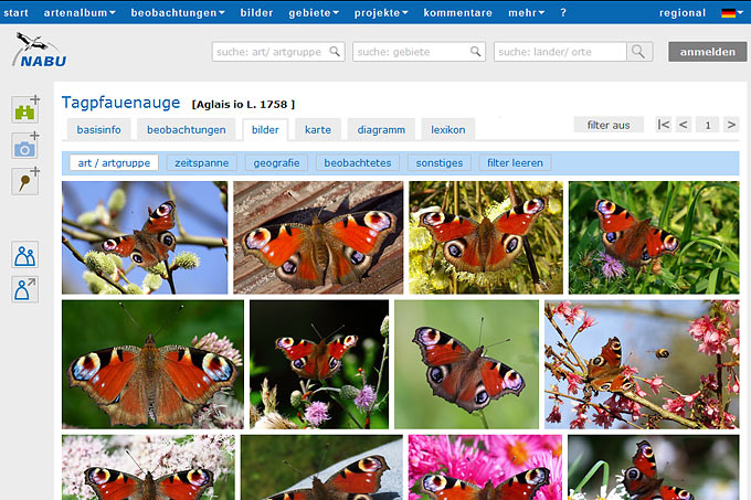 Screenshot der Titelseite Naturgucker.de