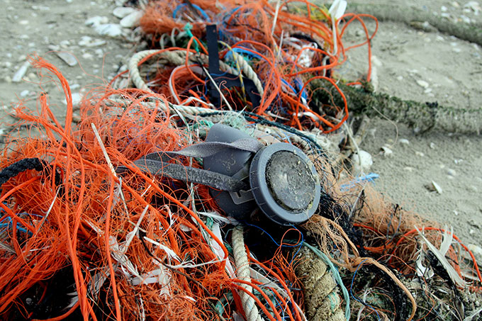 Müll am Strand - Foto: Julia Baer